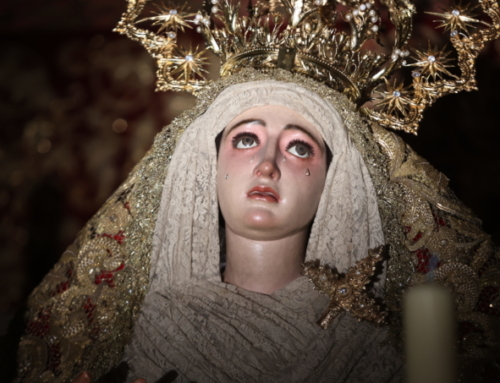 Viernes 27 de mayo: misa de hermandad y ofrenda floral a Madre de Dios de la Palma
